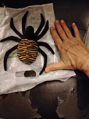 "SPINNER" THE SPIDER 1996 TY BEANIE BABY no tag